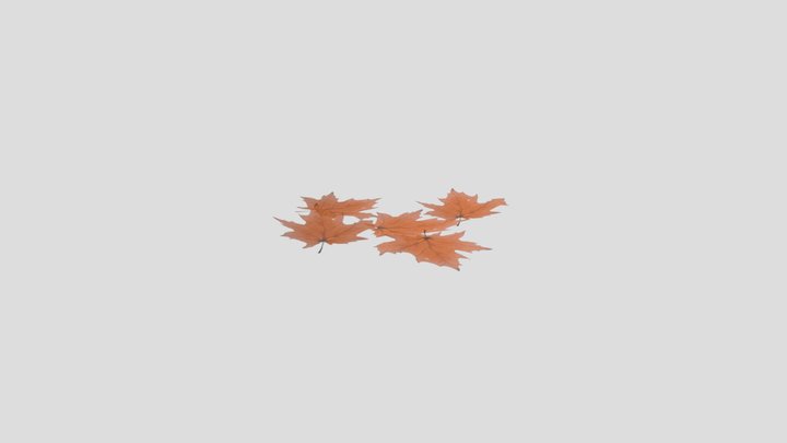 Scatted maple leaves 3D Model
