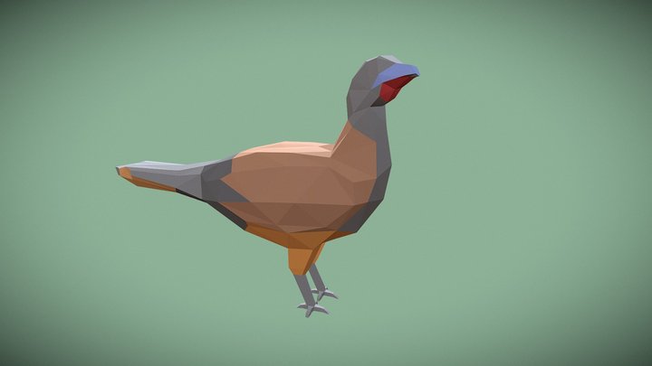 Guacharaca 3D Model
