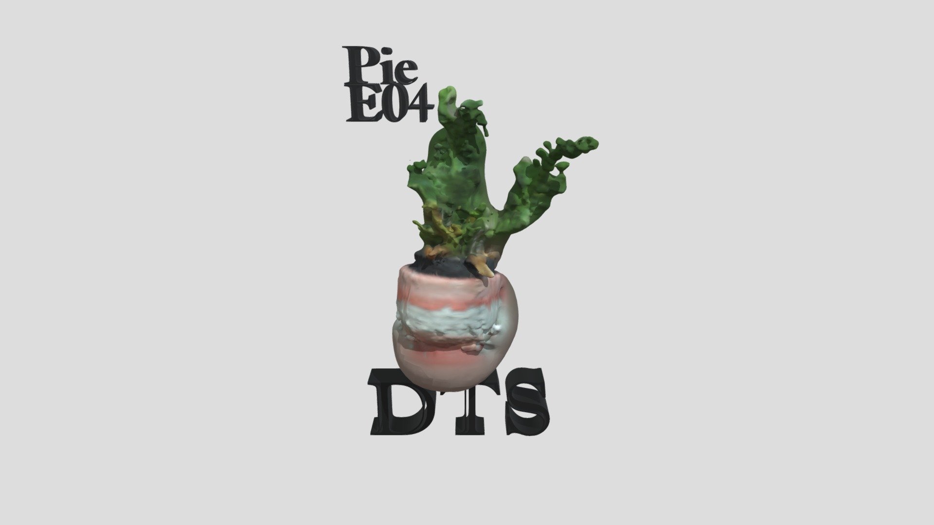 INDA_Y1_DTS_GROUP E_Pie_1