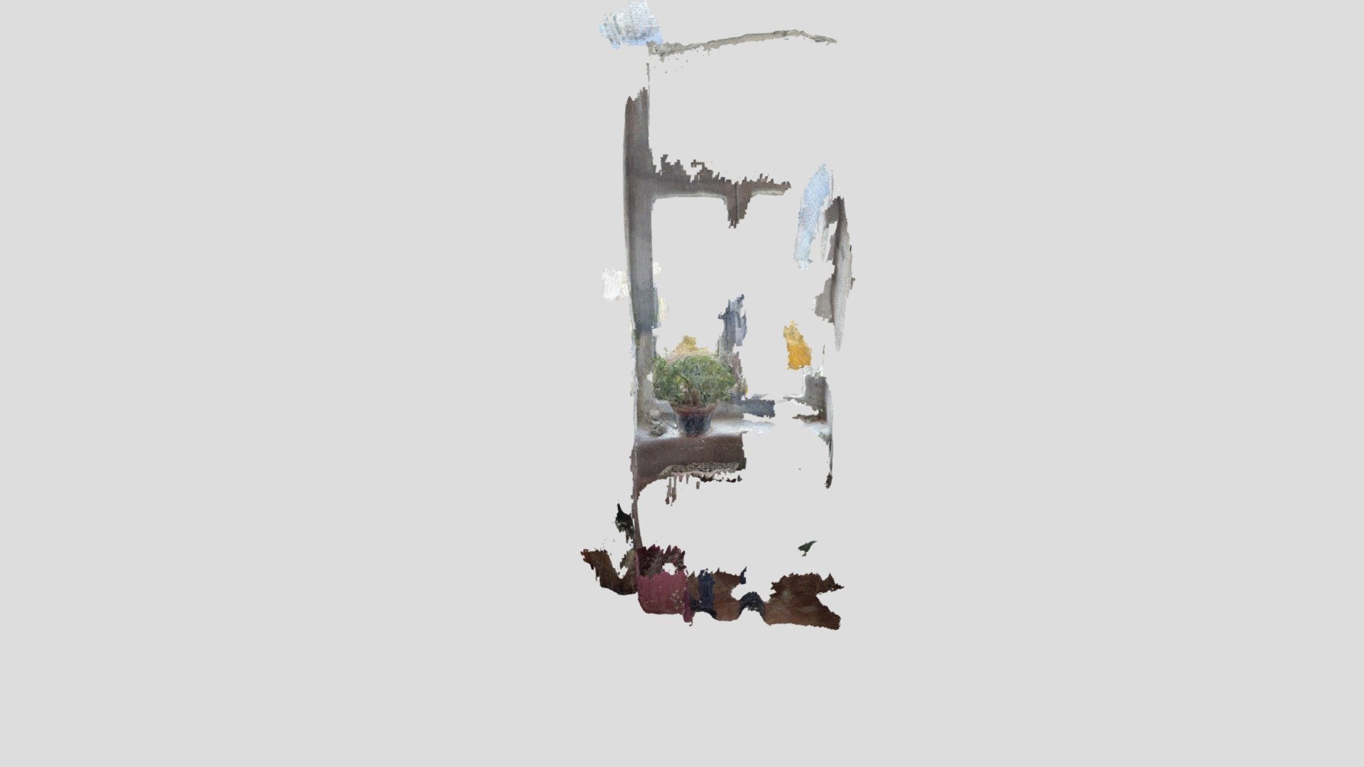 Plant in my Window