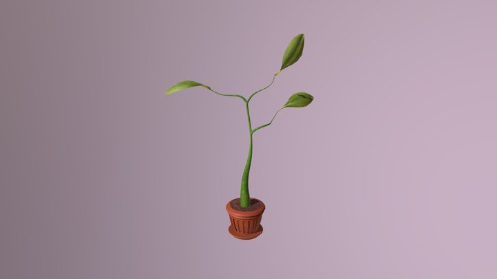plant4 3D Model