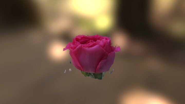 Rose 3D Model