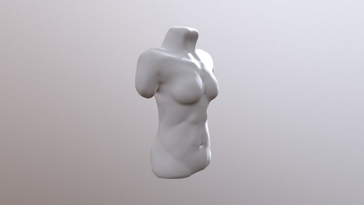 Day 29 - Female Torso 3D Model