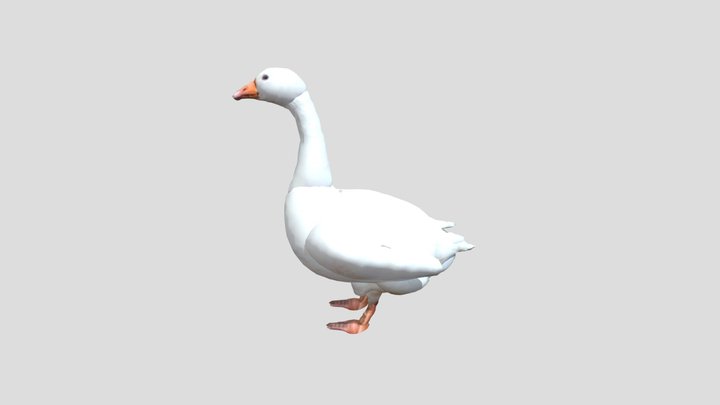 504-31-龔恩惠-白鵝 3D Model