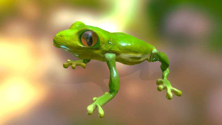 Froggo 3D Model