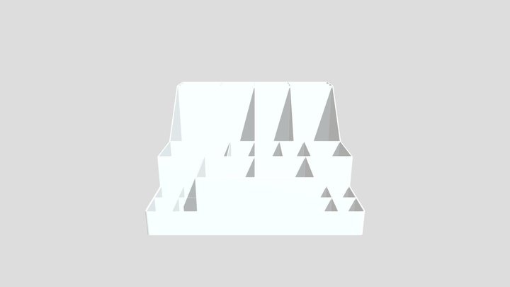 Organizer
