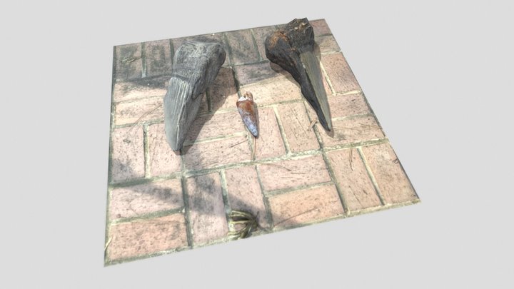 Surf and Turf 3D Model