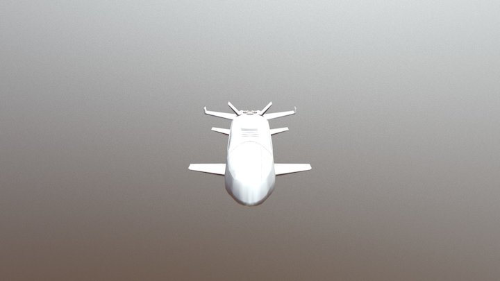 Beluga Liner 3D Model
