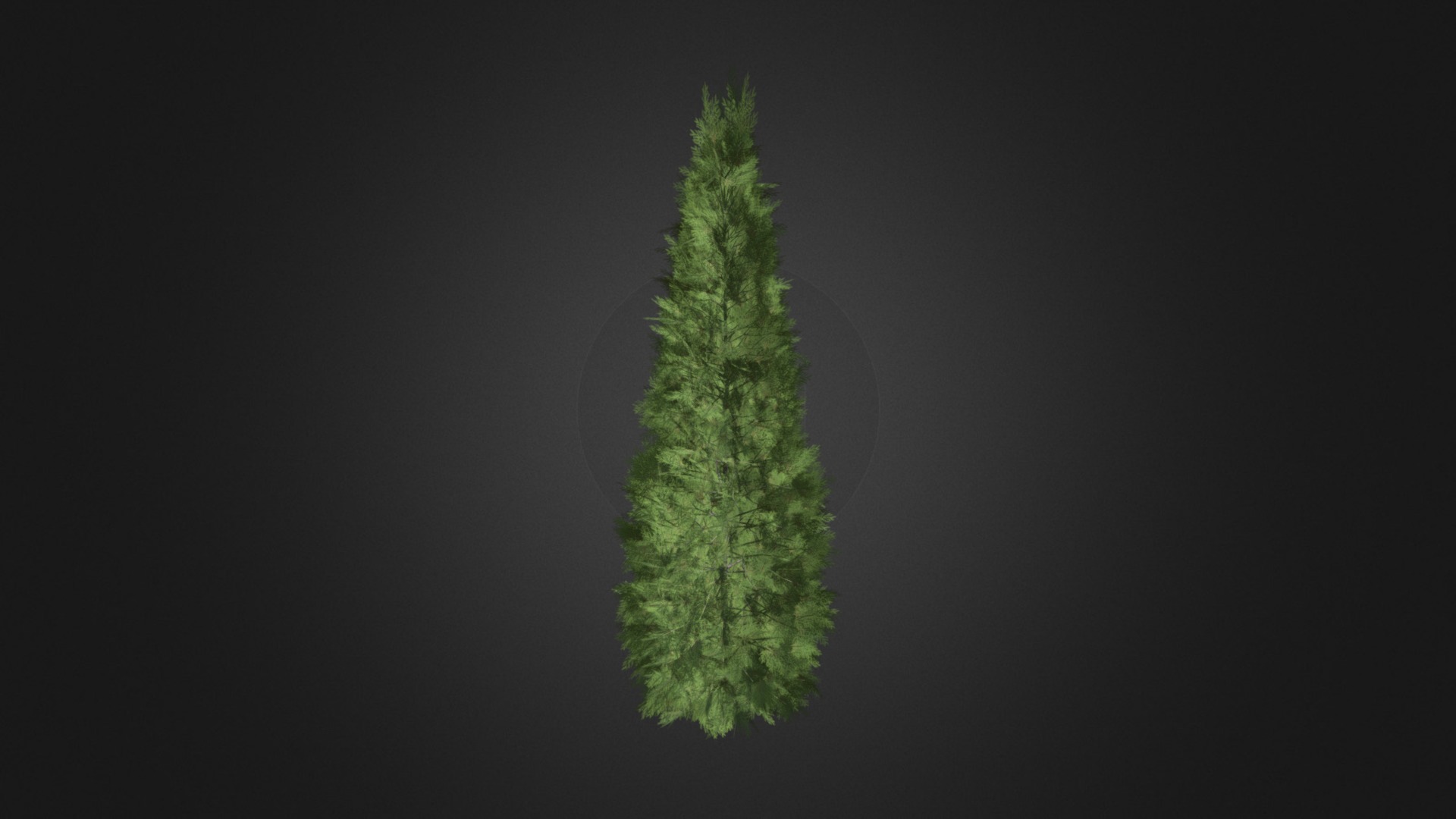 3D model White Cedar (Thuja occidentalis) 2.3m - This is a 3D model of the White Cedar (Thuja occidentalis) 2.3m. The 3D model is about a green leaf on a black background.