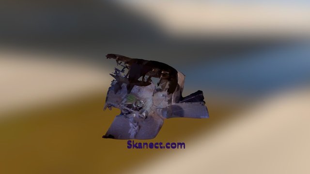 barf 3D Model