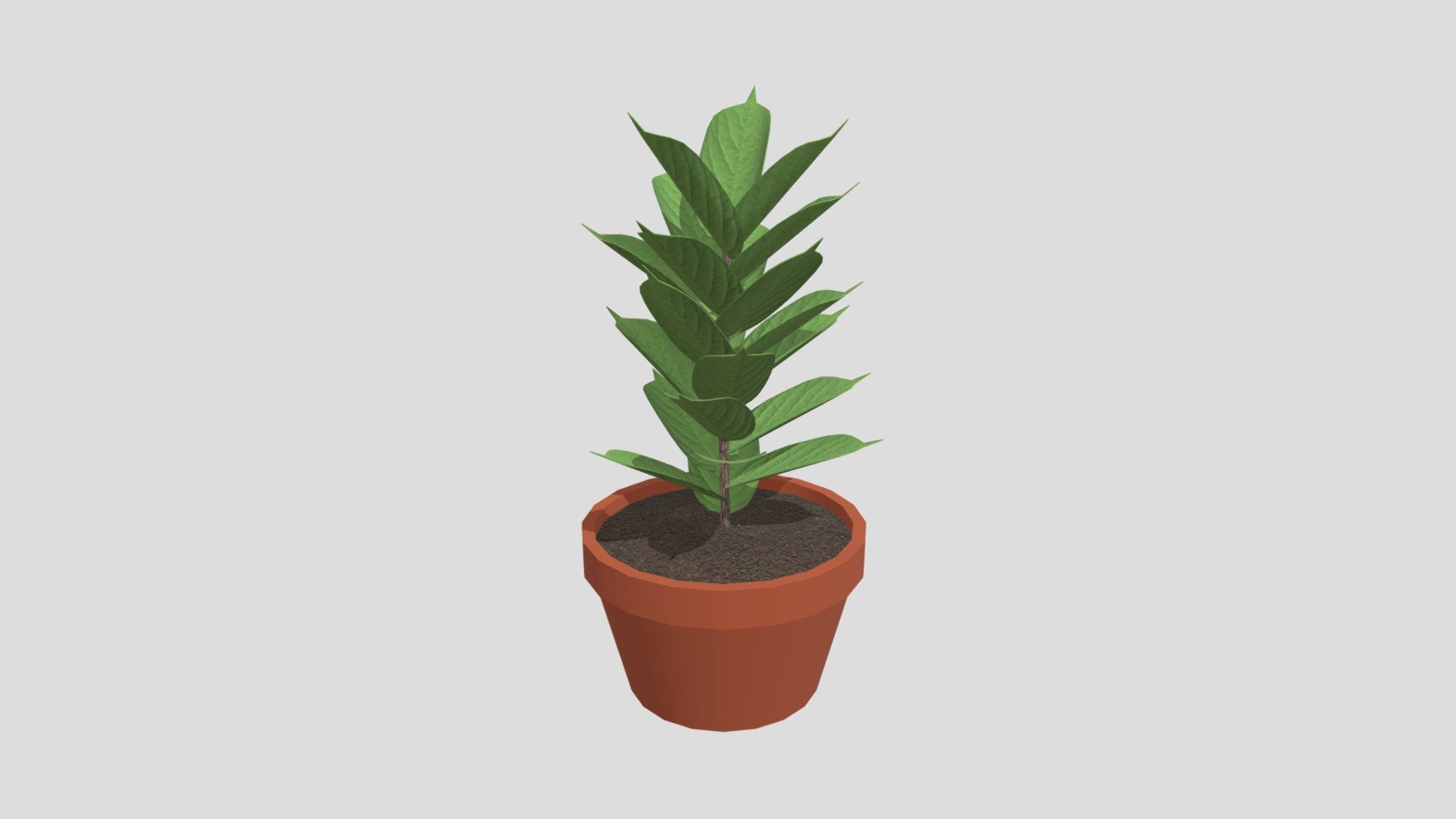 Plant