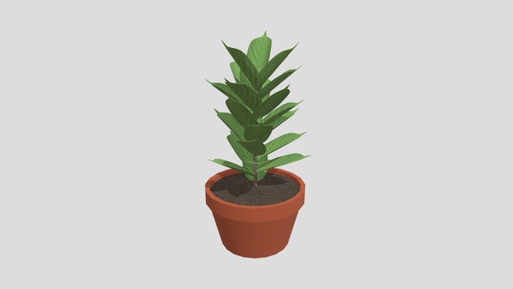 Plant 3D Model