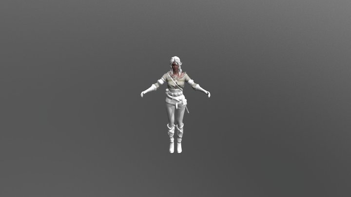 Ciri 3D Model