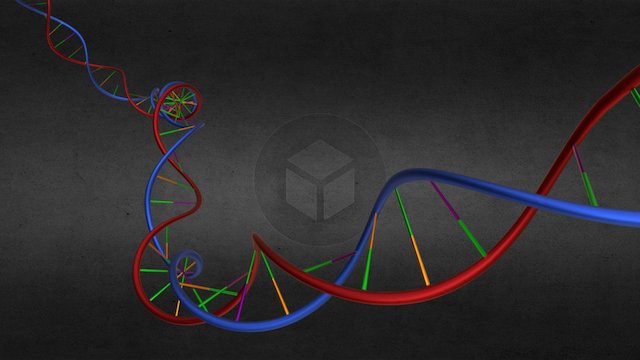 DNA Smoother Mesh