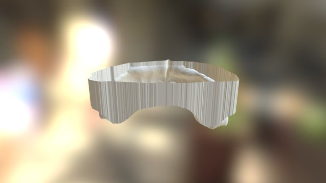 dentition 3D Model