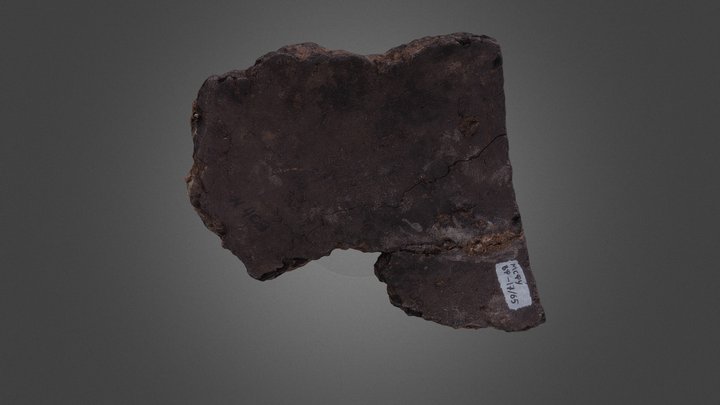 сосуд 3D Model