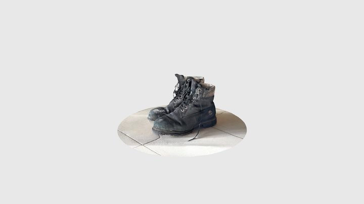 Old boots 3D Model