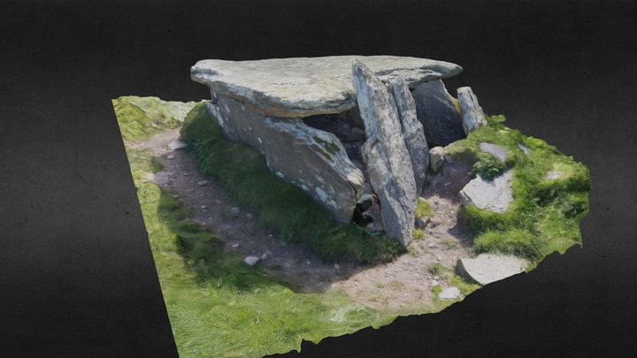 Wedge Tomb at Tinnies Upper 3D Model