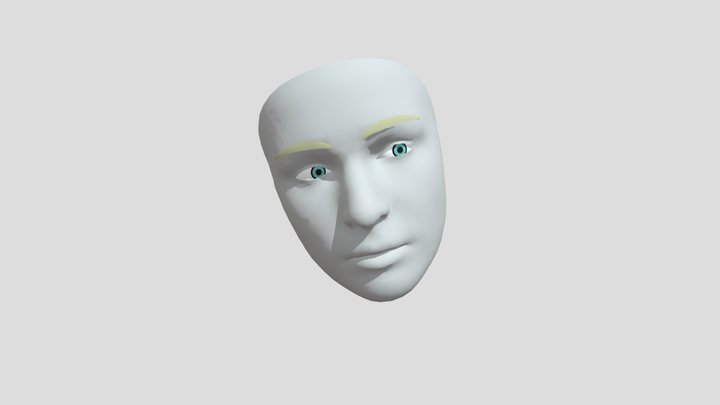 facemotion-01-09-00-56 3D Model