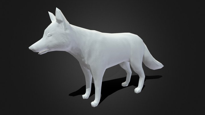 Fuchs 3D models - Sketchfab