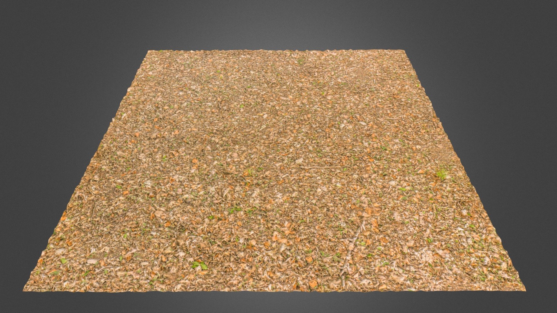 Forest Ground VI - 3D model by ProjectNature [1649cf5] - Sketchfab