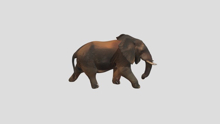 gajah sumatra