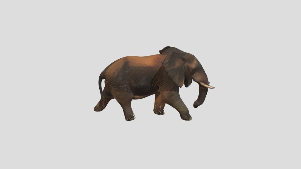 gajah sumatra