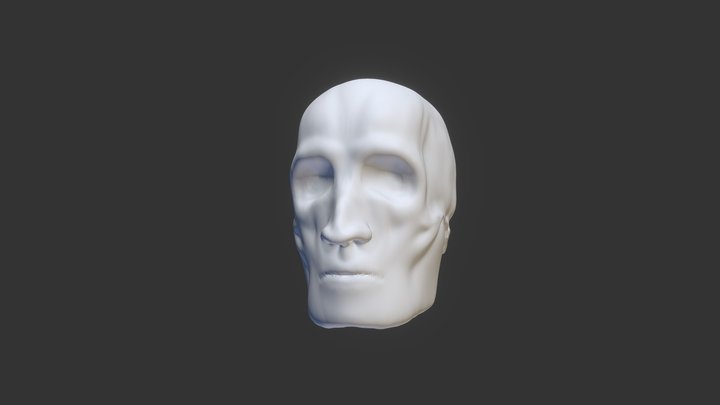 Skull Face 3D Model