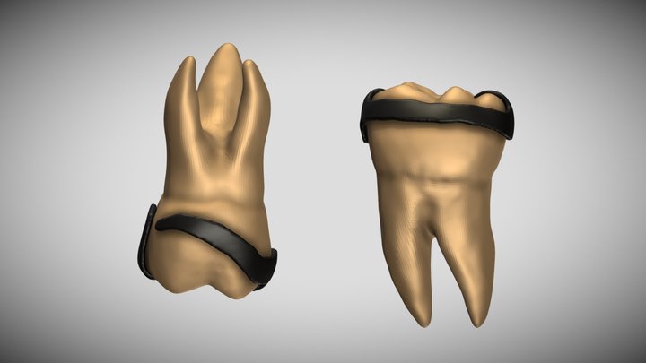 Ring Clasps 3D Model