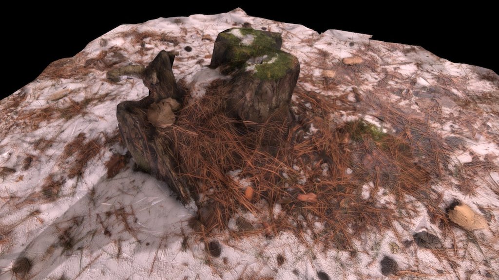 Pinhey Treestump