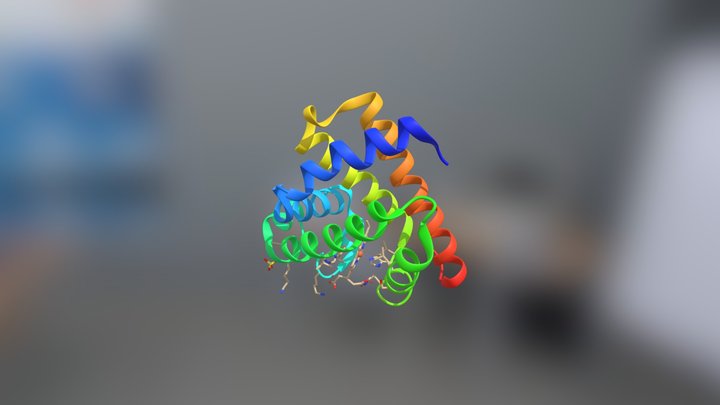 Mioglobina Cavalo Estrutura 3D Model