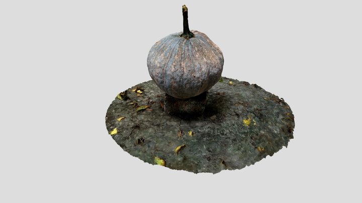 Squash-2021-001 3D Model