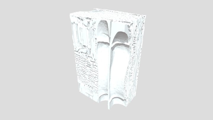 Khaya ivorensis, acajou, mahogany 3D Model