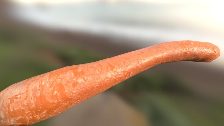 Carrot 3D Model