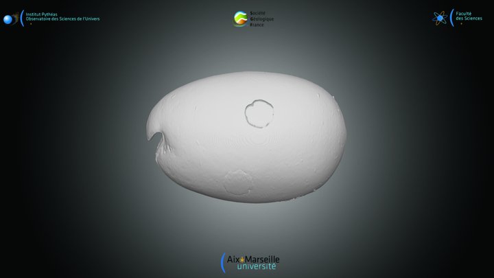Ostracode - valve gauche de V.hilgendorfii – Kostenloses 3D-Modell STL