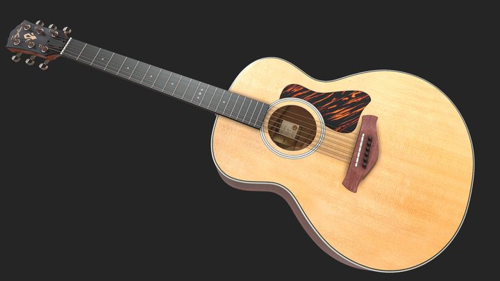 Taylor Guitar Gold Label