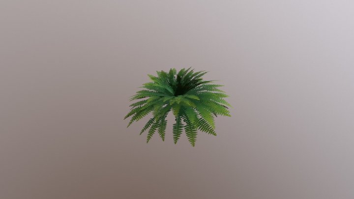 Fern Plant 3D Model