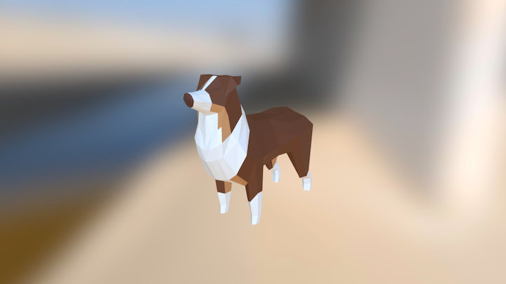 Low Australian Shepherd 3D Model