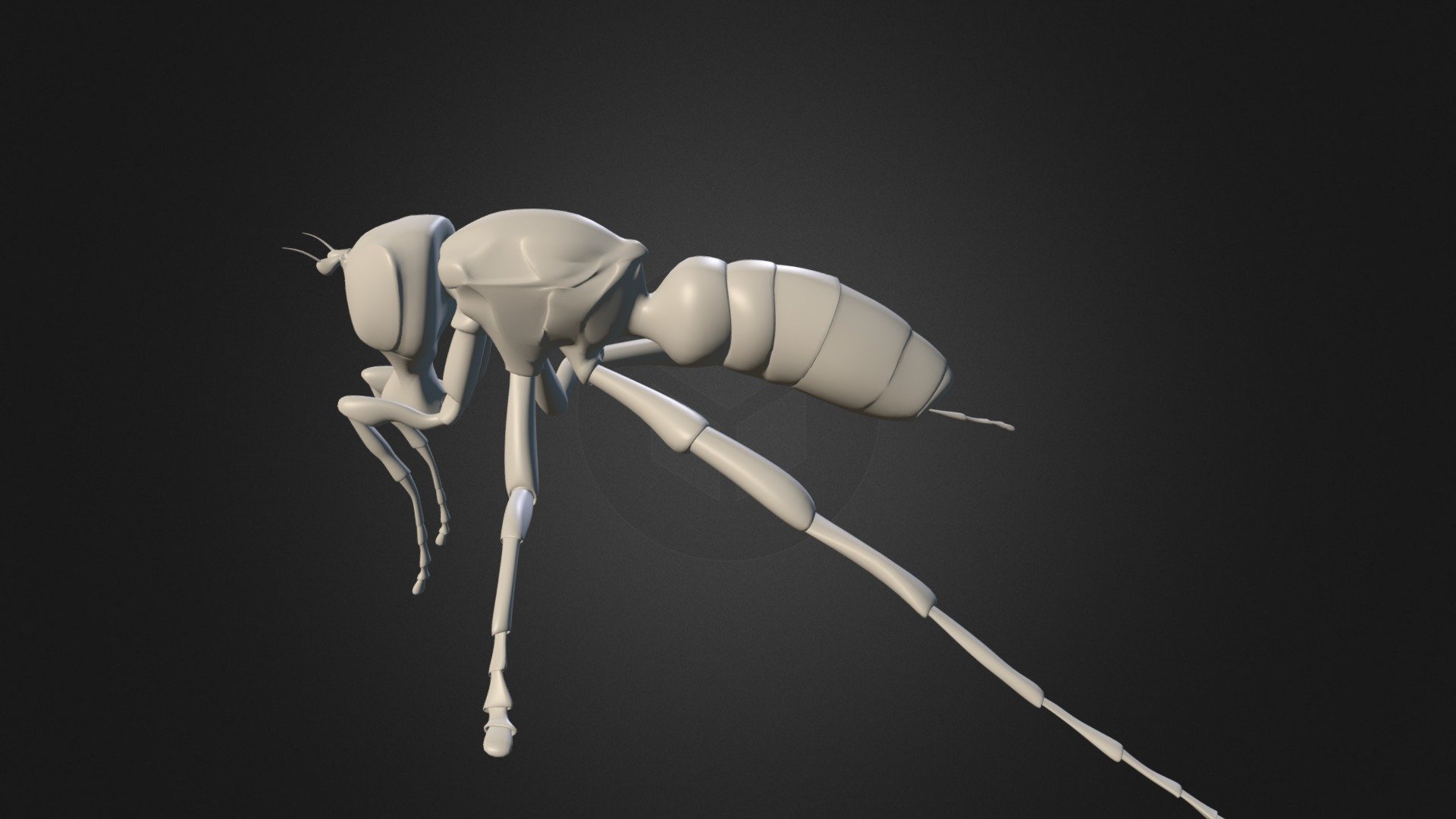 Schematic Dung Fly (Sepsidae)