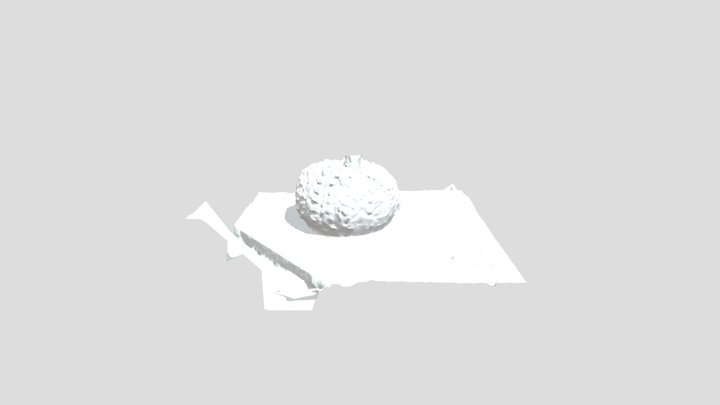 Model 3D Model