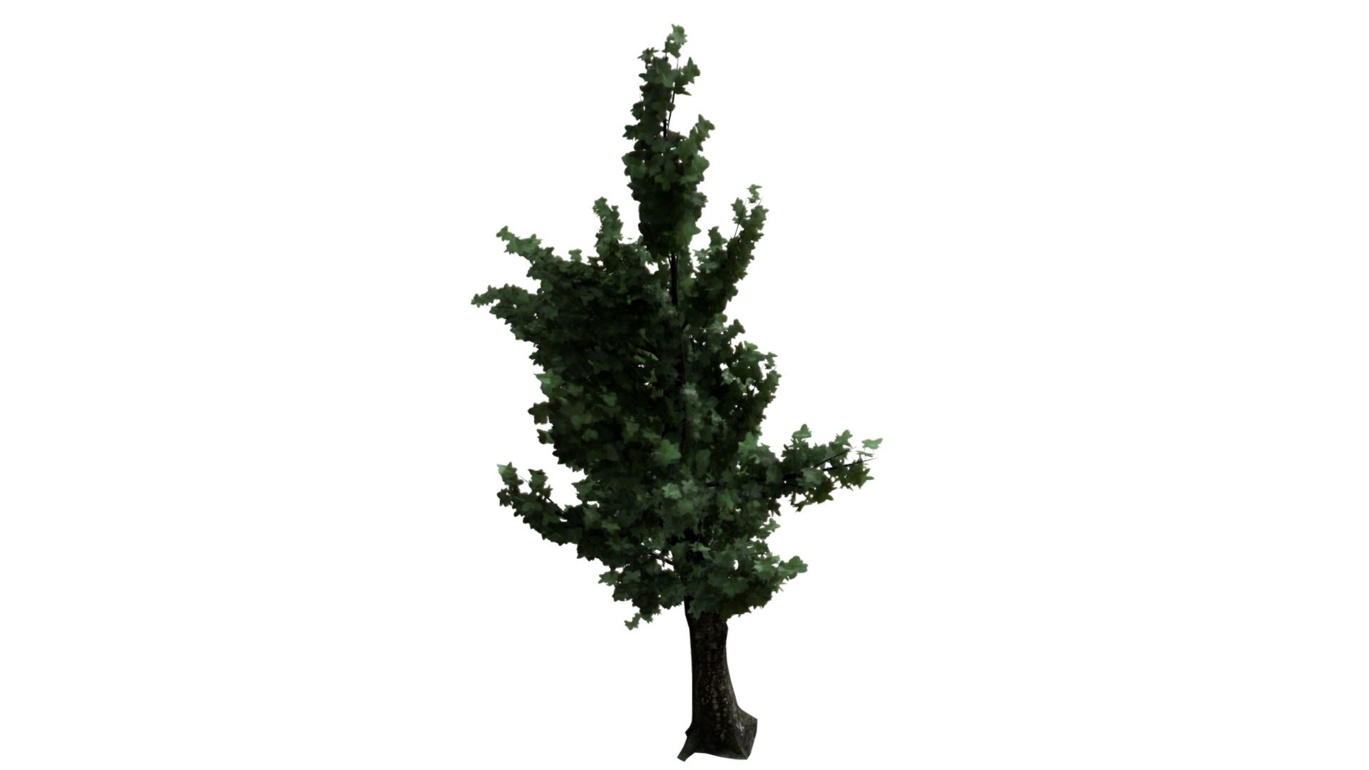 3D model Tree - This is a 3D model of the Tree. The 3D model is about a tree with green leaves.