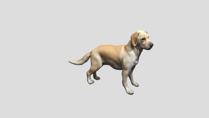 Dog_ Real_0210164036_texture_fbx 3D Model