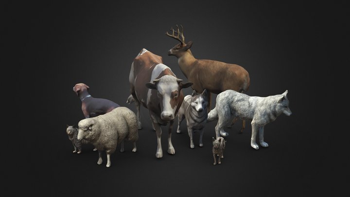 Animal Pack Vol 1 3D Model