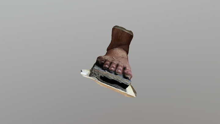 Roman Foot, Hancock Museum 3D Model