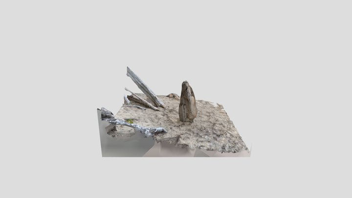 Large Driftwood Top 3D Model