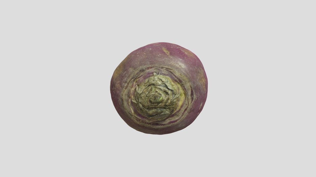 Turnip Scanned