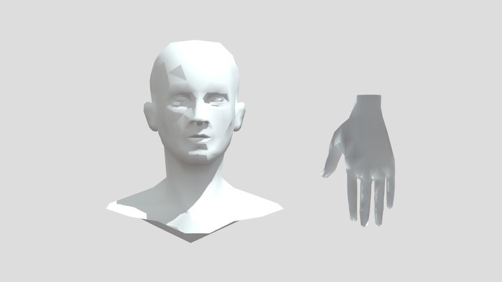 Head and hand base mesh 3D Model