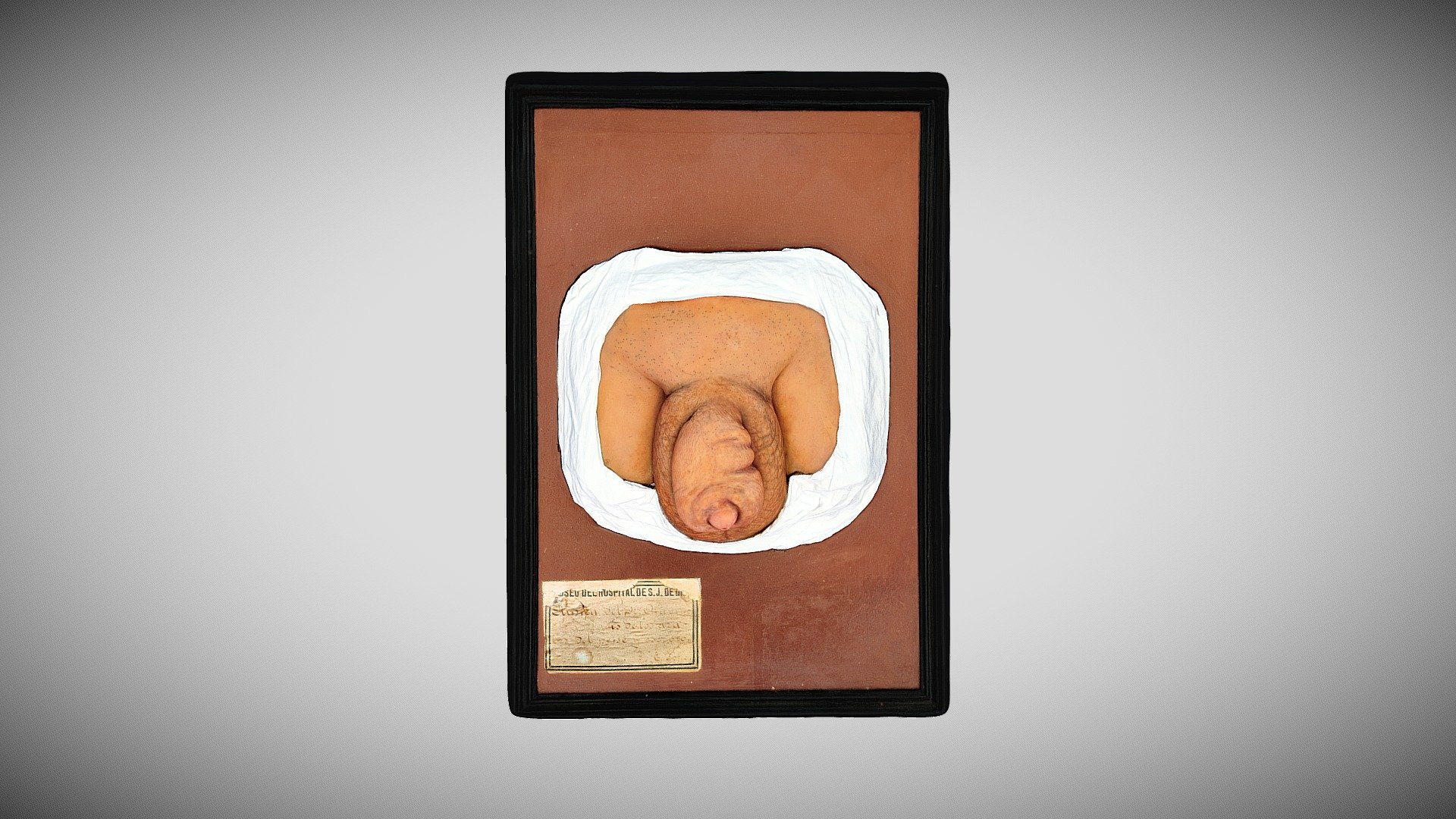377 - 212 — Sketchfab embed 3D viewer