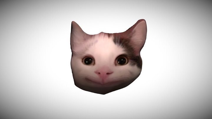 Cat Face Meme 3D Model