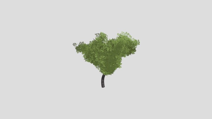 Laubbaum 3D Model